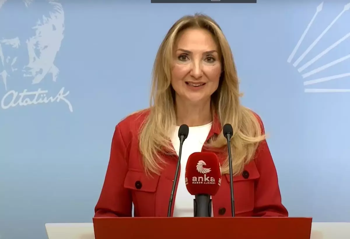 CHP’li Aylin Nazlıaka: 2024’te En Az 608 Kadın Cinayeti Gerçekleşti