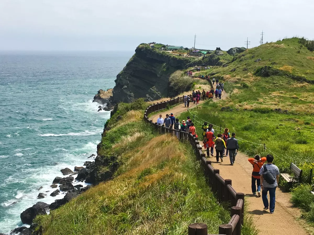 Jeju Adası’nda 38 Vietnamlı Turist Kayboldu